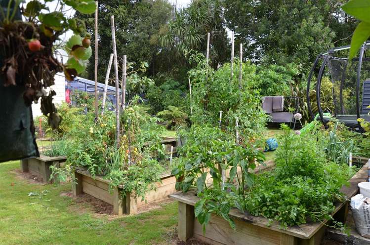 39 Poland Street Waikino_8