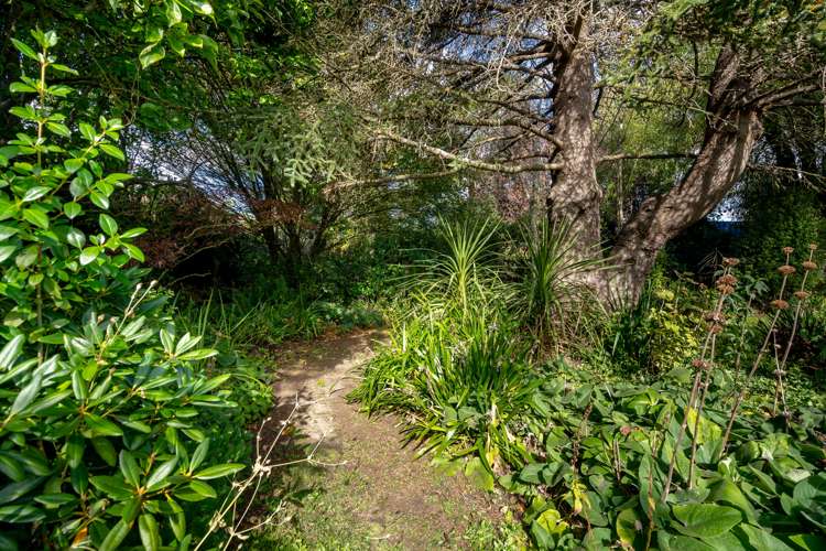 64 Geelong Street Waikouaiti_33