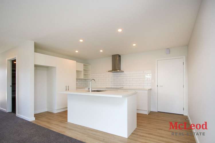 86a George Street Tinwald_3
