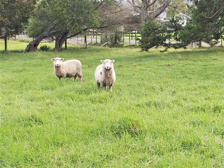 47 Sands Road Glenbervie_22