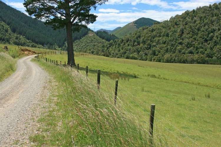 994 Maungatapu Road Rai Valley_12