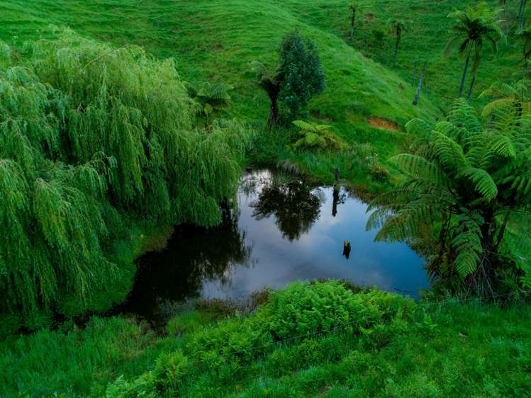 103e Rowe Road Ohauiti_18