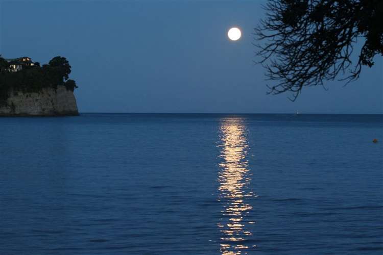 6/4 Arkles Strand Arkles Bay_14