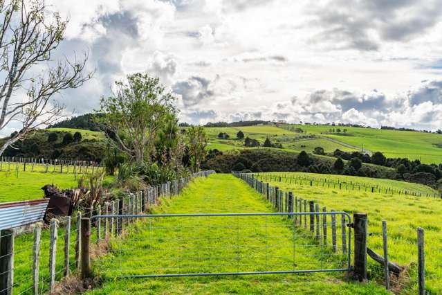 579 Ormiston Road Waipu_4