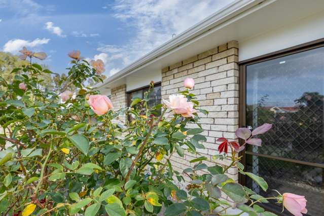 6 McKenzie Place Dargaville_3