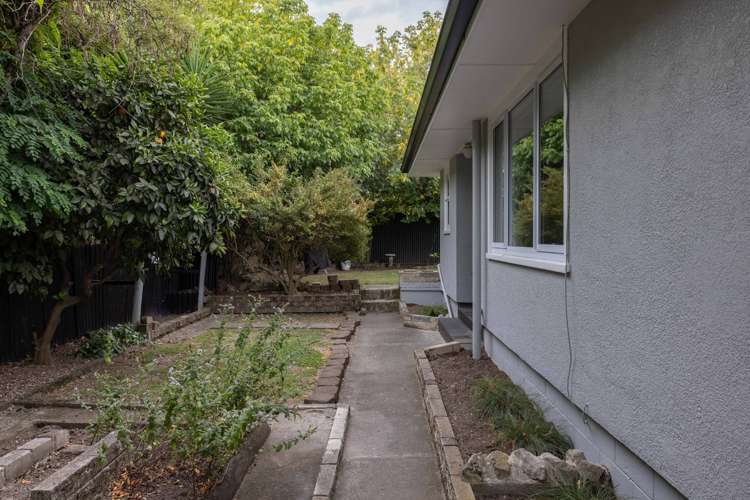 809a Oliphant Road Raureka_21