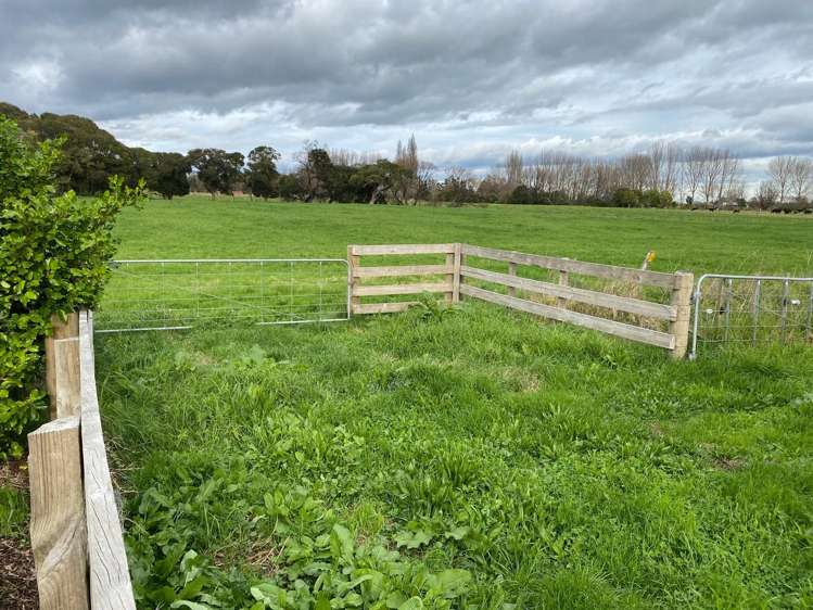 8945 Paeroa Kopu Road Puriri_18