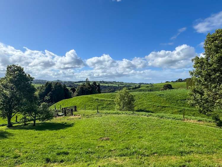 1556 Te Matai Road, Te Ranga Te Puke_28