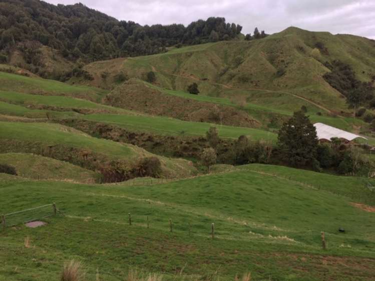 3434 State Highway 4 Aria_6