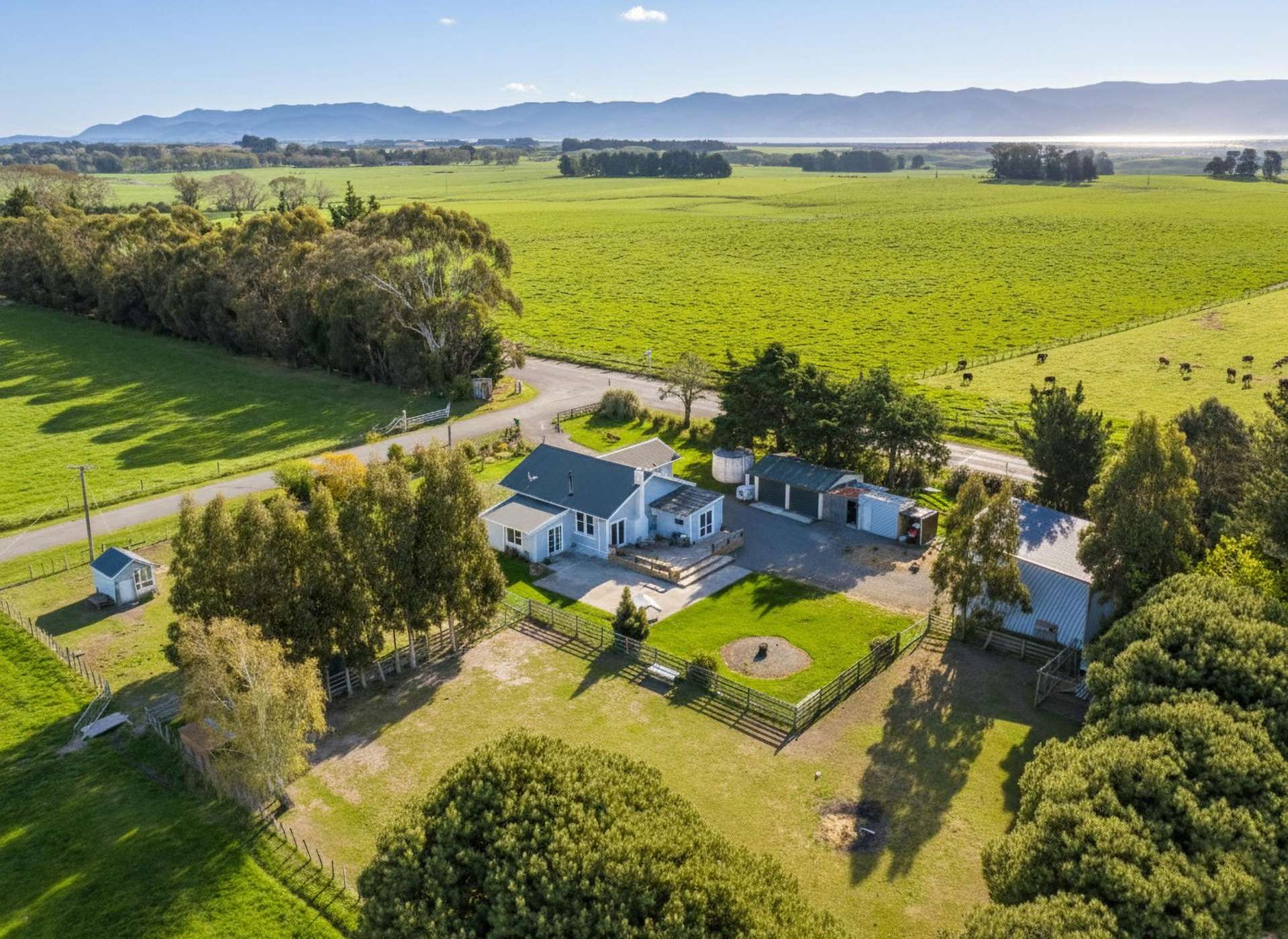 693 Kahutara Road Kahutara_0