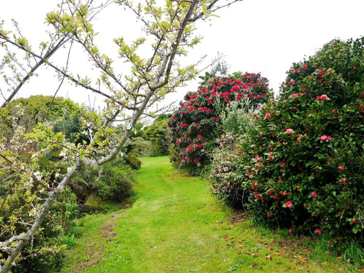 18 Onaero Beach Road Onaero_18