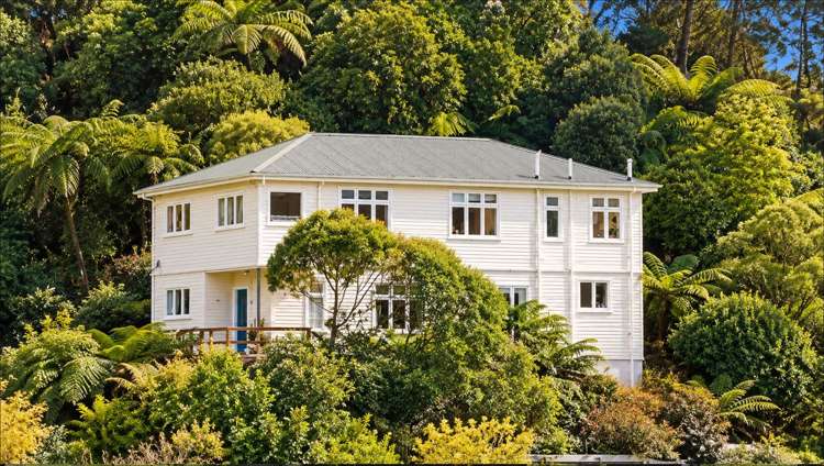 6 Semeloff Terrace Aro Valley_8