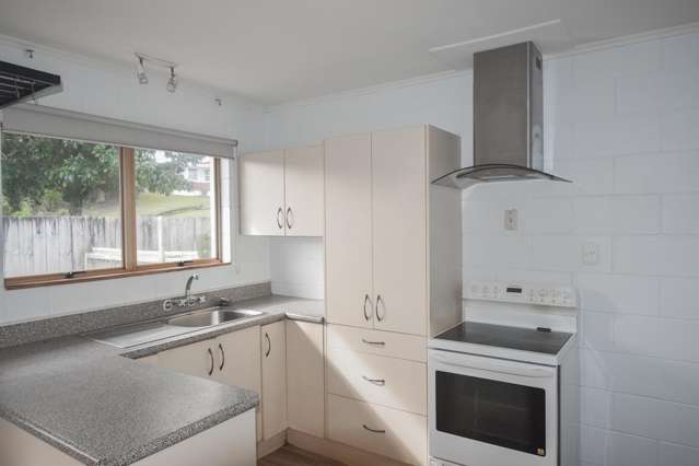 319a Thames Street Morrinsville_1