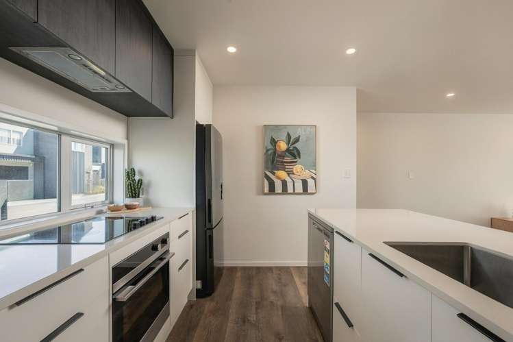 9 Selkirk Lane Hamilton Lake_3