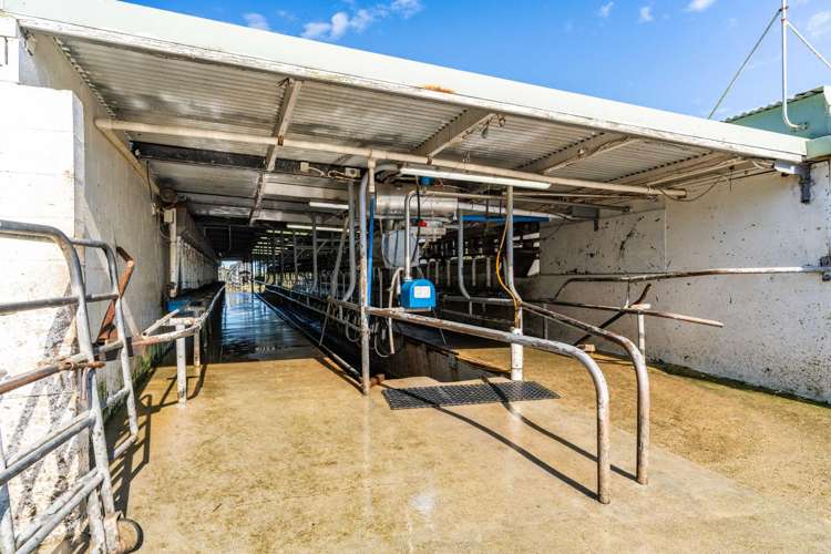 559 Mahuta Road Dargaville_7
