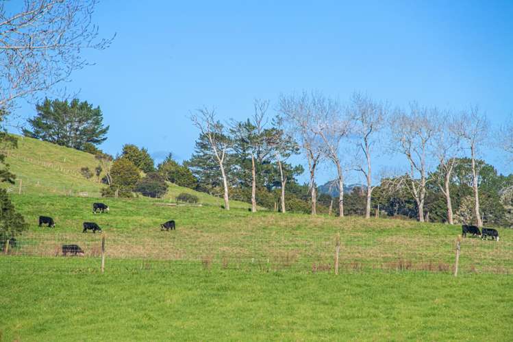 174 Stoney Creek Road Kaukapakapa_19
