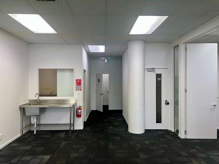 20-24 Crummer Road Grey Lynn_4