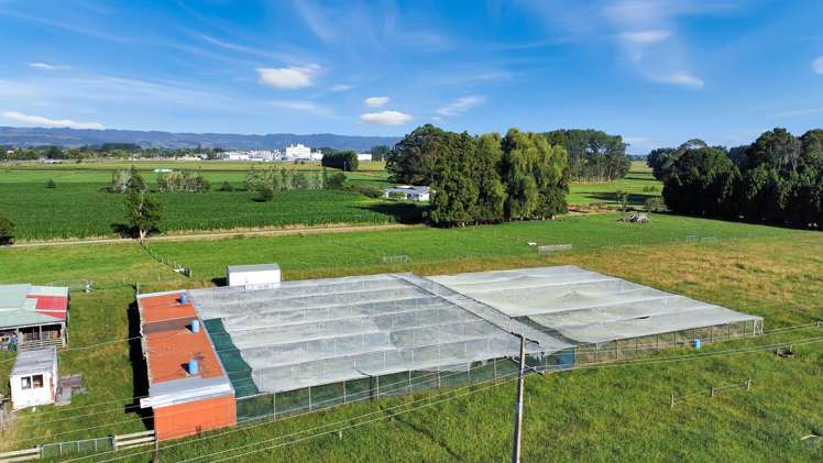 402 Awakeri Road Edgecumbe_24