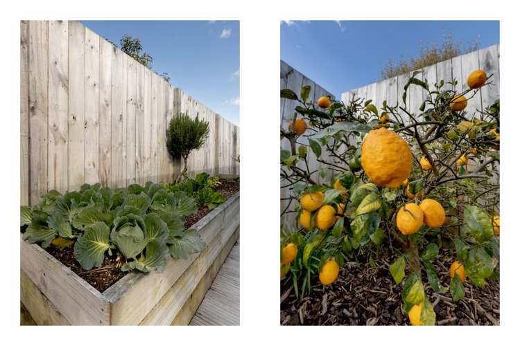 28 Leet Crescent Papamoa_26