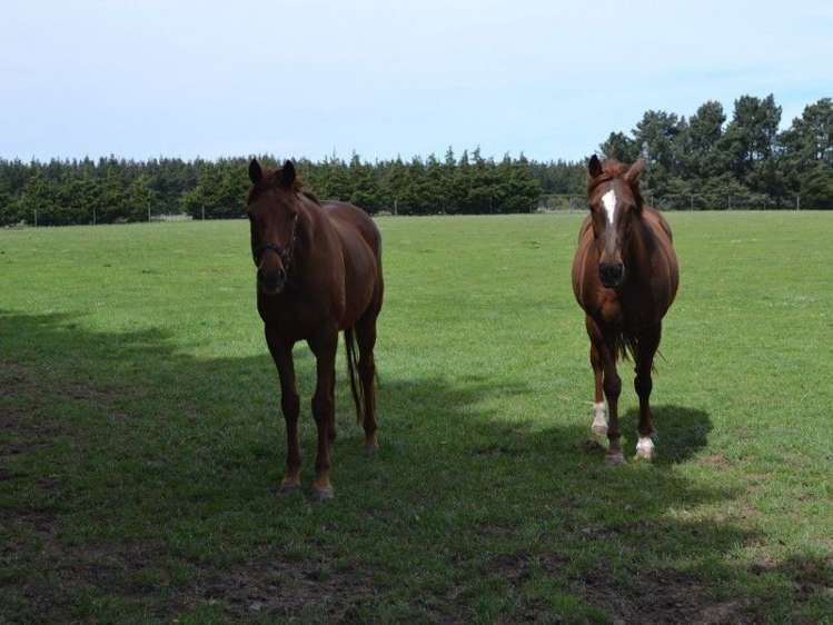 581 Rockford Road Waimakariri_20