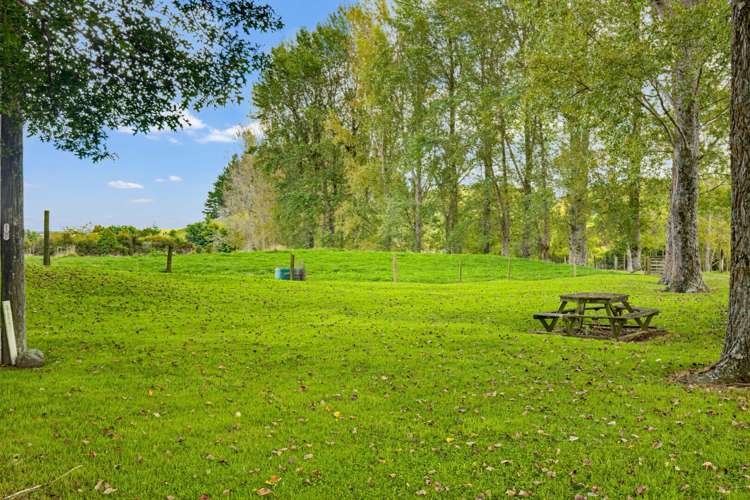 733A Bryce Road Ngakuru_26