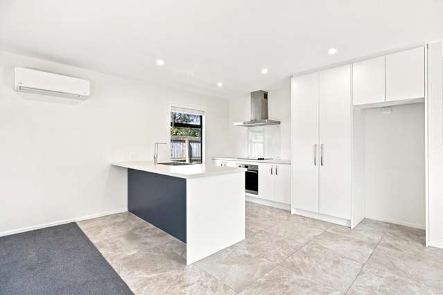 190a Condell Avenue Papanui_2