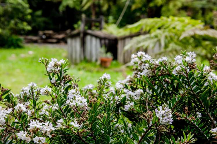 3454 State Highway 6 Barrytown_15