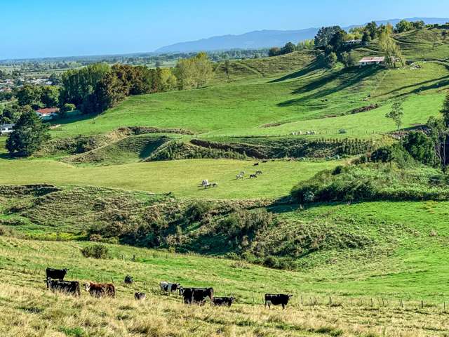 114 Aorangi Road Paeroa_4
