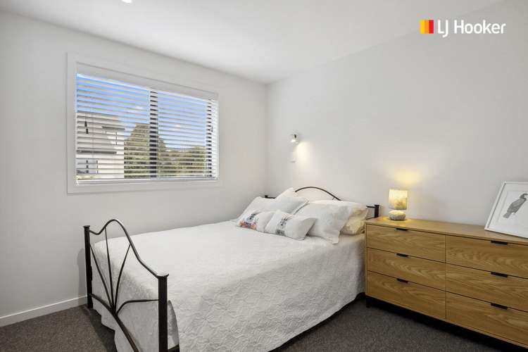 56 Archibald Street Waverley_9