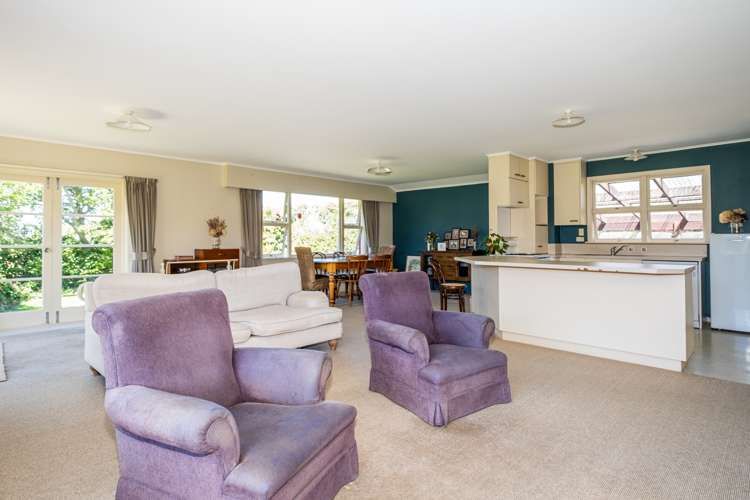 87 Hekeao Road Mesopotamia_13