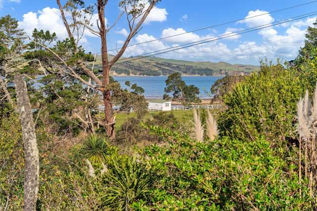 55 Ngatoto Road Tinopai_3