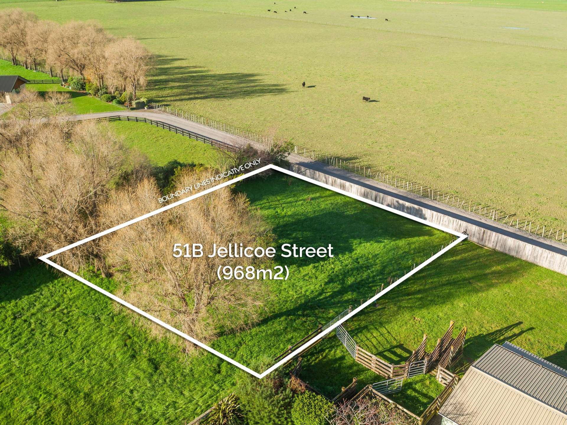 51 Jellicoe Street Greytown_0