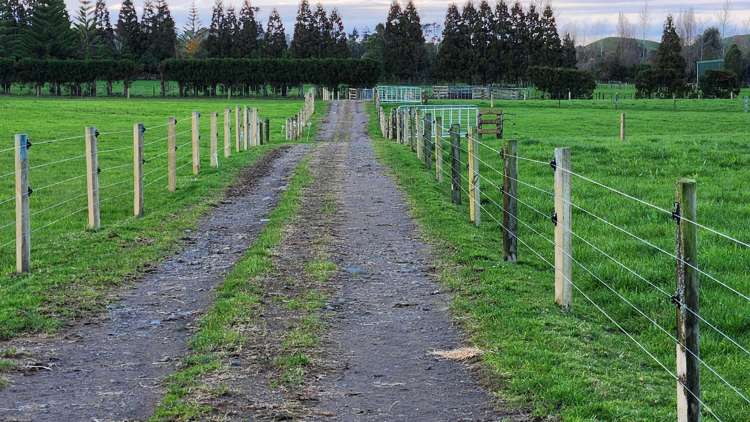 71 Lepper Road Inglewood_8