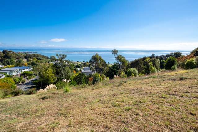 11 Chamerion Way Atawhai_3