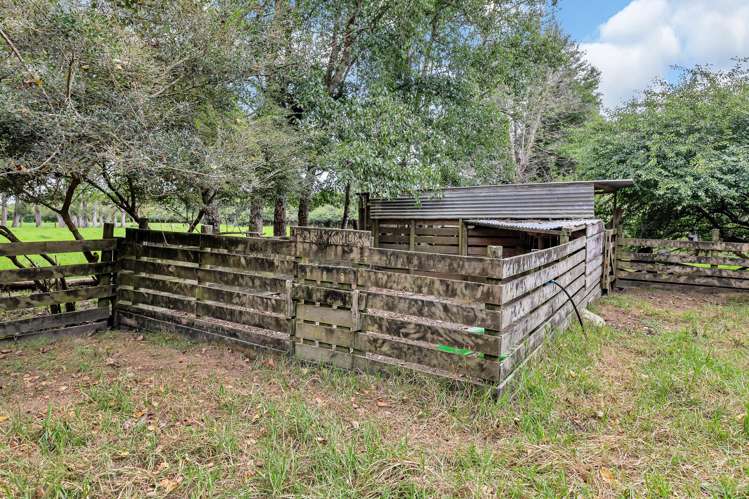 1344 State Highway 1 Hikurangi_25