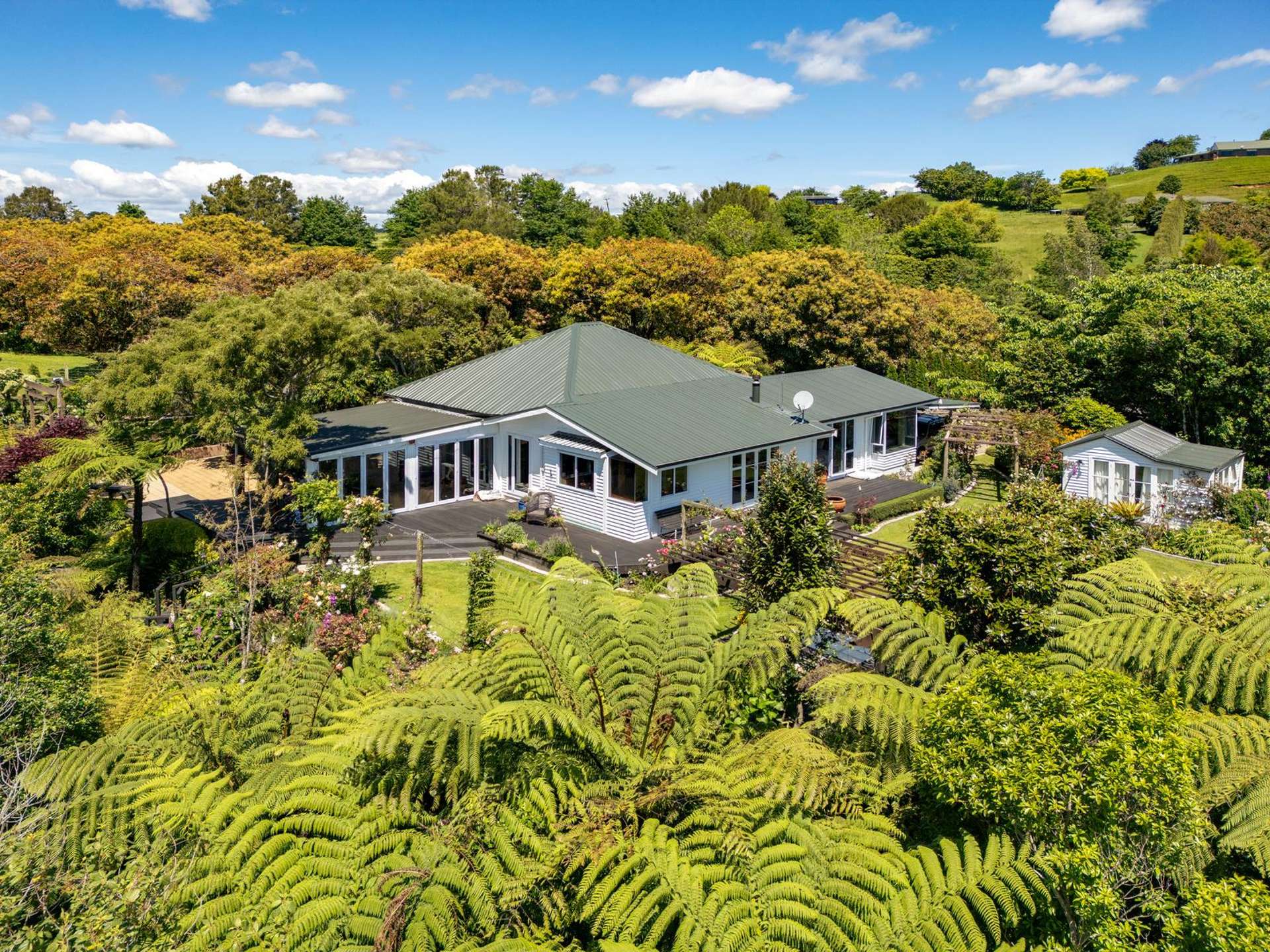 480B Youngson Road Whakamarama_0