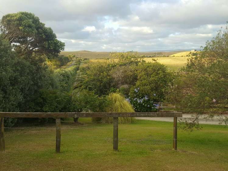 817 Baylys Coast Road Dargaville Surrounds_14