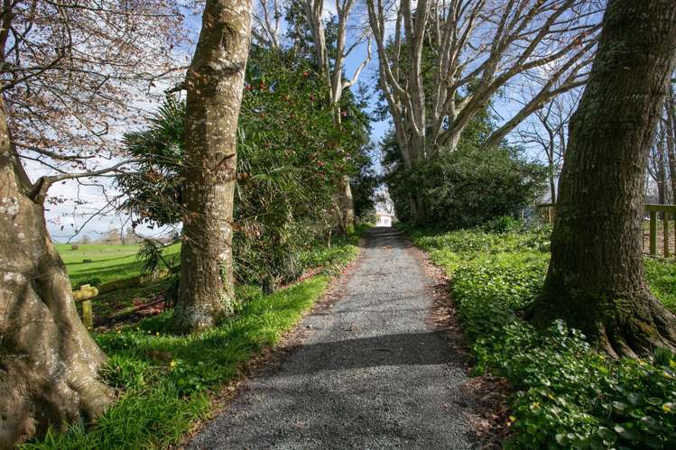 296 Walton Road Richmond Downs_14