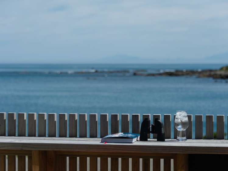 1/48 Owhiro Bay Parade Owhiro Bay_2