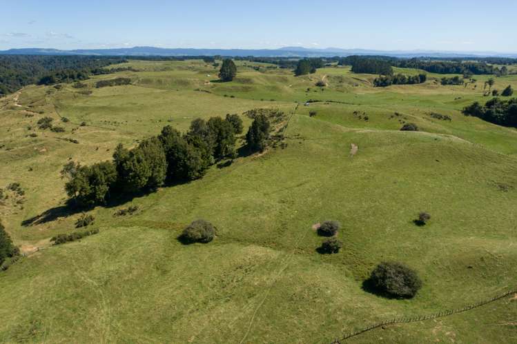 2140 Pyes Pa Road Kaimai_4