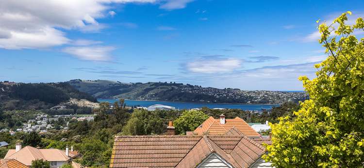 7/38 Drivers Road Maori Hill_19