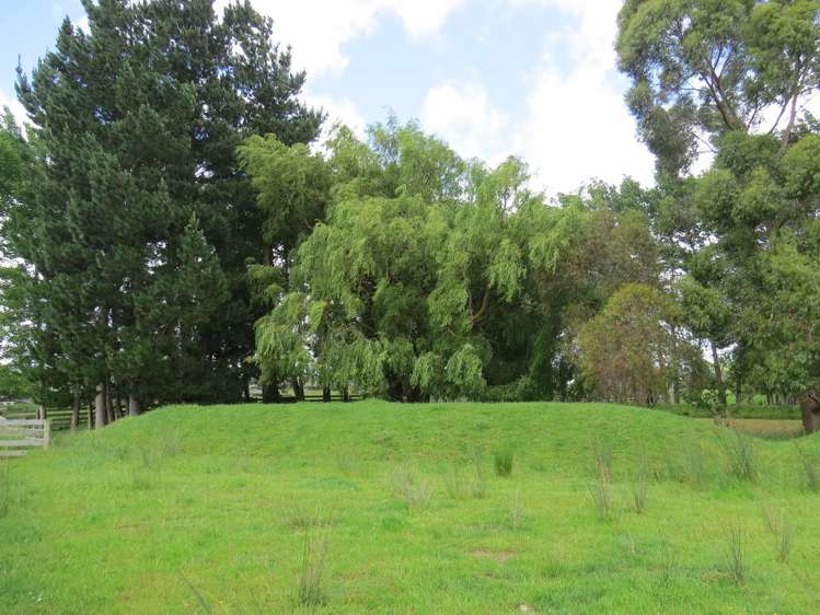 569 Taonui Road Feilding_7