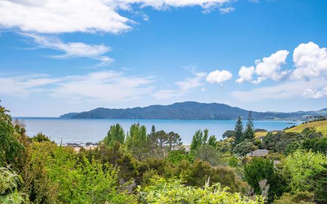 463 State Highway 10 Cable Bay_2