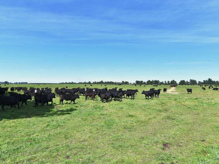 538 Ashley Road Oxford_5