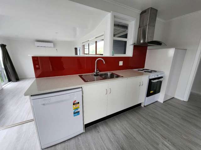 60 Webster Avenue Mt Roskill_4