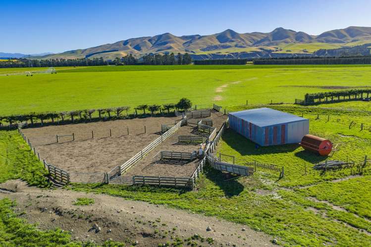 537 Mount Brown Road Broomfield_18