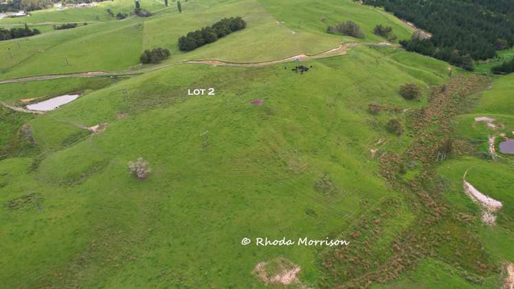 Golden Stairs Rd Maungaturoto_27