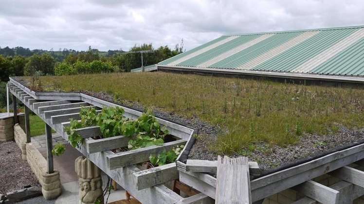 204 Oyster Point Road Kaukapakapa_17