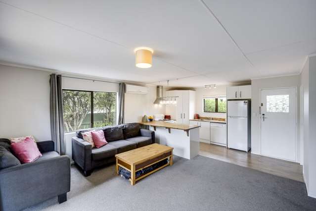 175A Vigor Brown Street Napier South_1