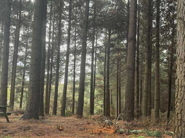 1 Bells Bush Road and Sinclair Road Waihola_4